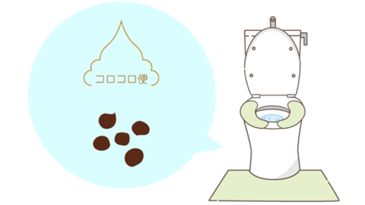 「うんちみたいなうんこ」 コロコロうんち」が出るのはなぜ？ - きなが内科・内視鏡クリニック